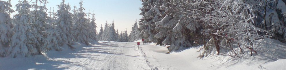 Velké sportovní vyžití